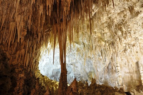 Bosque del Apache bis Carlsbad Caverns N.P.