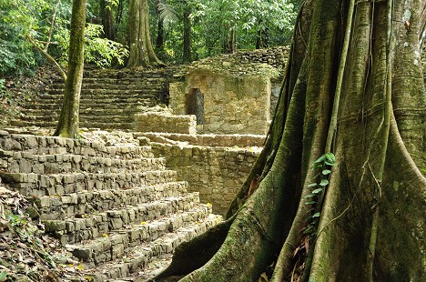 Urwald und Ruinen in Chiapas
